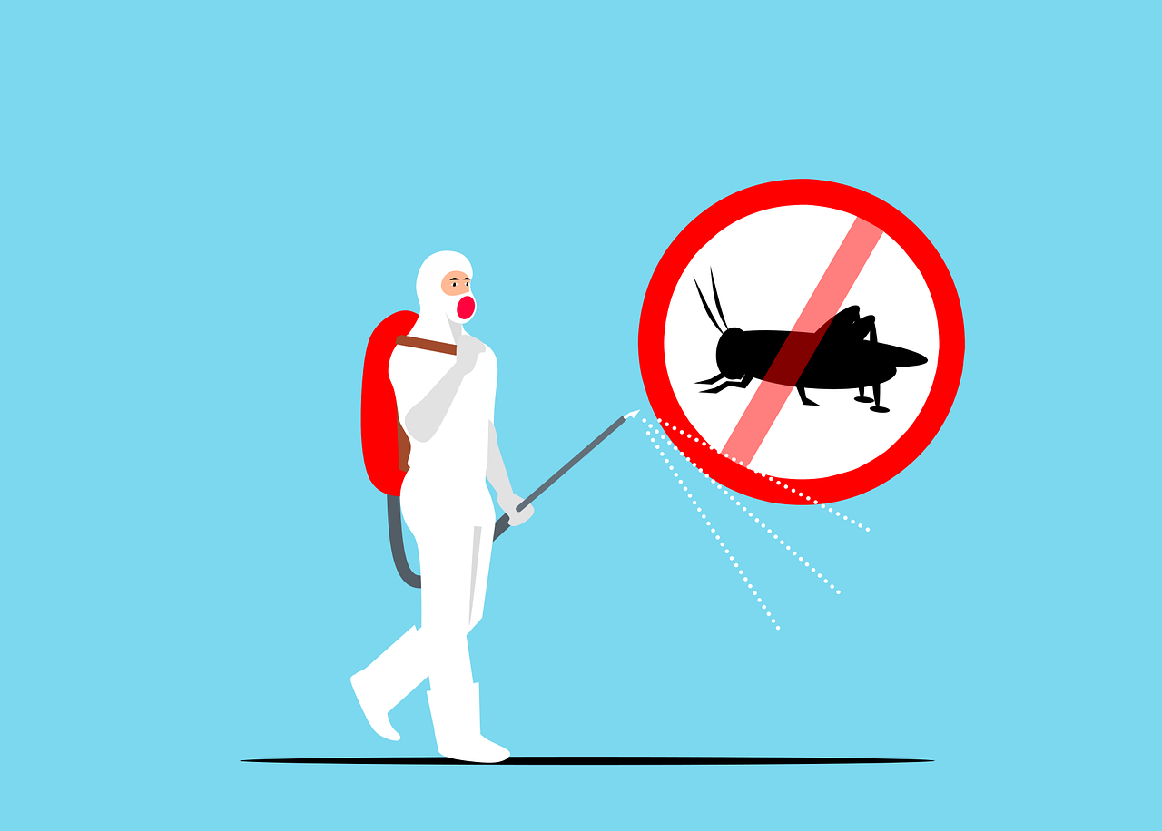 Bye-Bye Roaches! Effective Pest Control Strategies for San Antonio Homes