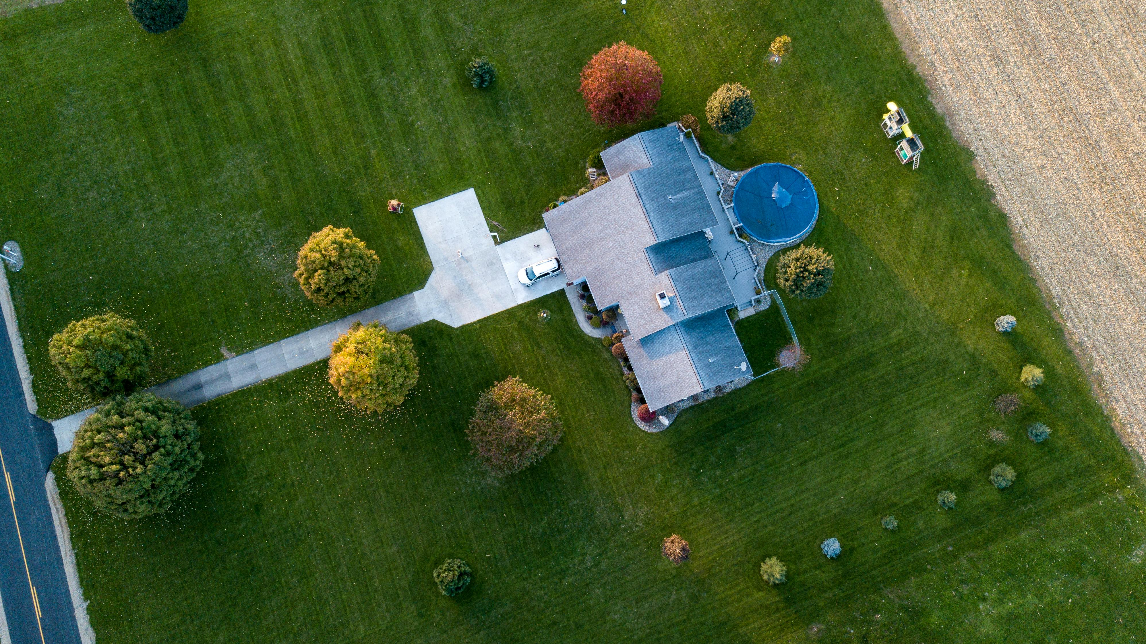 Summer Lawn Care Tips for a Vibrant San Antonio Yard